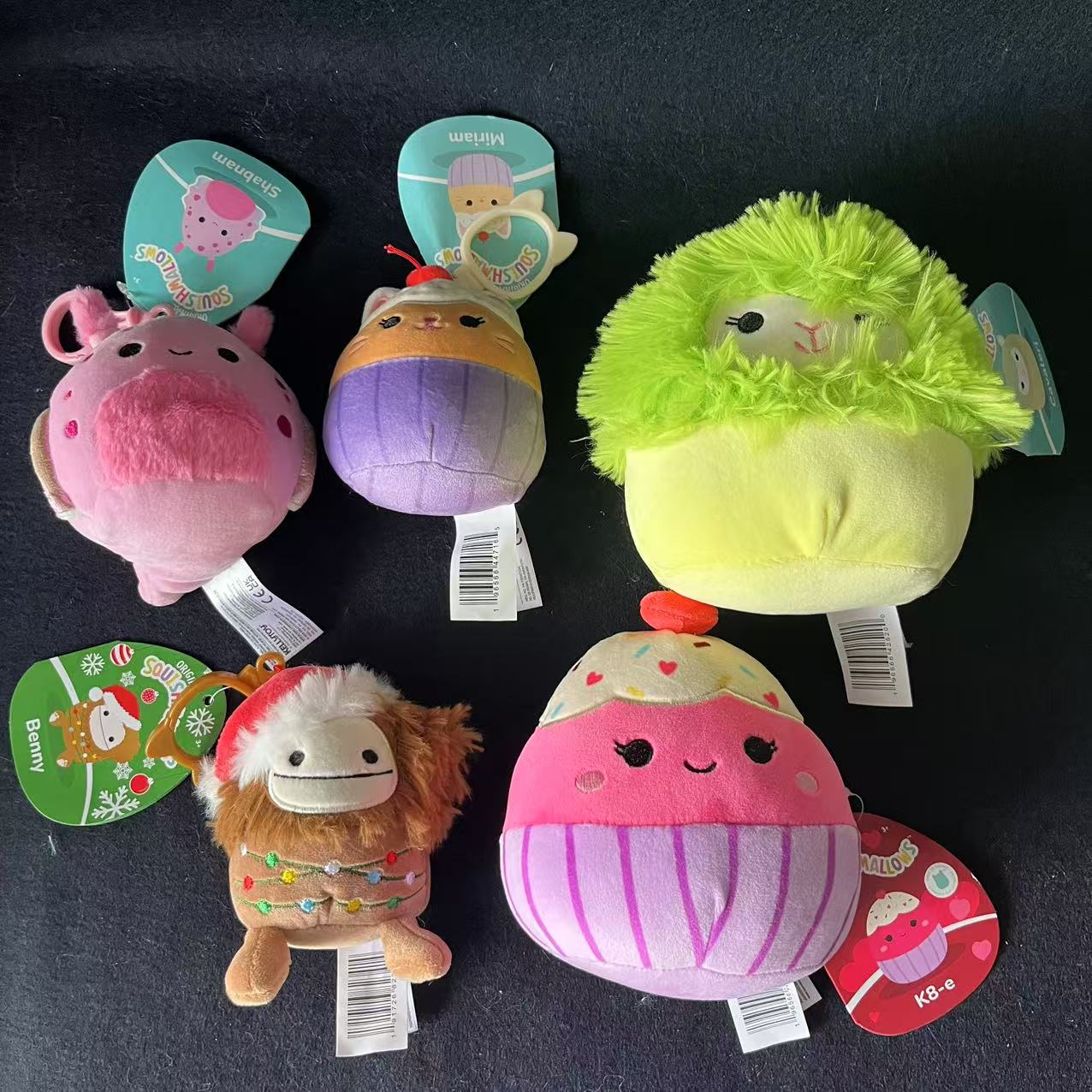 A  Squishmallow clips and 5" Plush