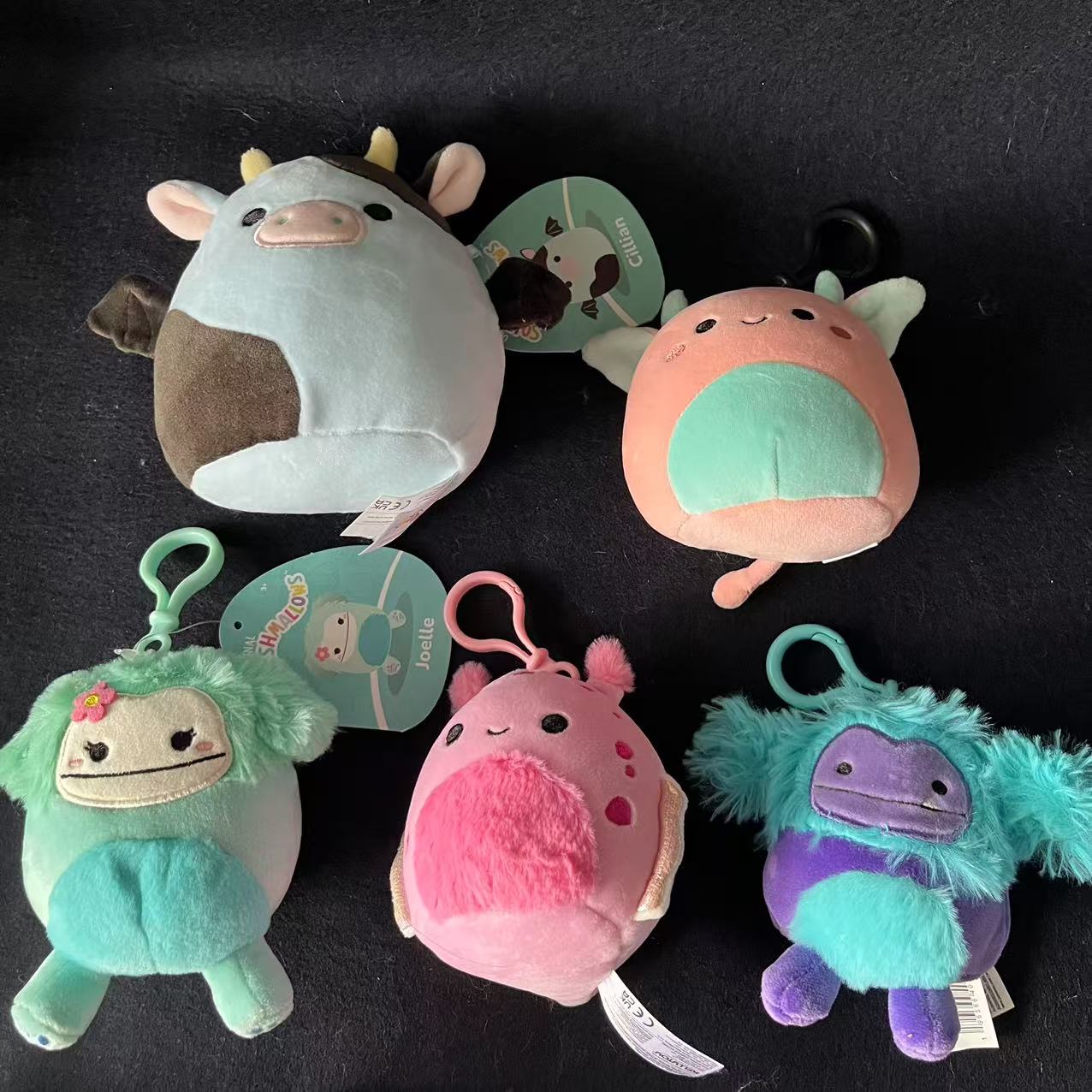 A  Squishmallow clips and 5" Plush